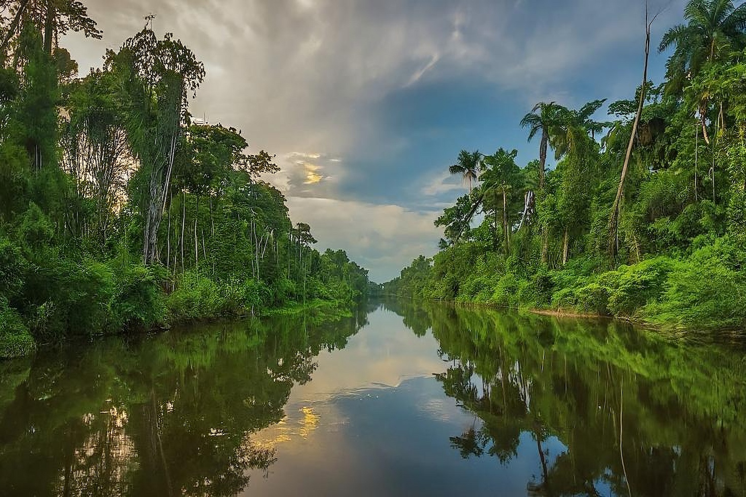 EU Nature Restoration Legislation goes into impact, and three different main coverage updates EU Nature Restoration Legislation goes into impact, and three different main coverage updates